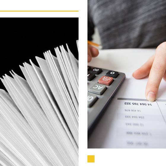 consulenza revisore legale dei conti